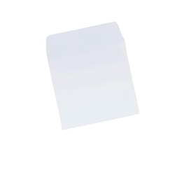 Mediaxpo 3,000 3" Mini Paper CD Sleeves with Flap (No Window)