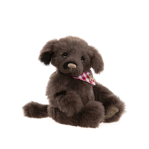 Charlie Bears - Boomerang | 2022 Teddy Bear Puppy Plush