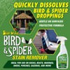 STAR BRITE Spider & Bird Stain Remover - 22 OZ
