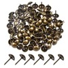 Brass Thumb Tacks 100Pcs Drawing Pins Map Tacks Brown Metal