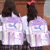 Silkfly 3 Pcs Clear Backpack Transparent PVC Clear Bookbag with