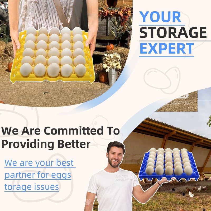 Aqwxc 8-Pack Plastic Egg Tray Egg Crate, 30-Egg Flats for