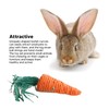 Rabbit Hanging Chew Toys Wood Grass Ball String Loofah Carrot