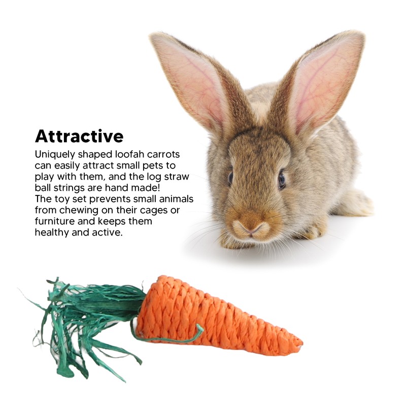 Rabbit Hanging Chew Toys Wood Grass Ball String Loofah Carrot