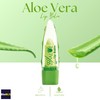 BioRLX Aloe Vera Lip Balm (One Lip Balm)