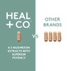 HEAL CO. Super Mushroom Complex 41 500 mg Energía, Enfoque
