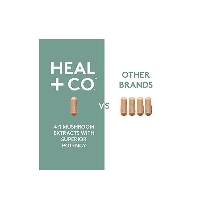 HEAL CO. Super Mushroom Complex 41 500 mg Energía, Enfoque