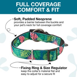 Max & Molly Tropical Dog Collar with Safety QR Code Dog Tag - Soft, Adjustable, & Waterproof Collar, Cute Summer Beach Themed Designs for Both Girl and Boy Dogs & Puppies, Large