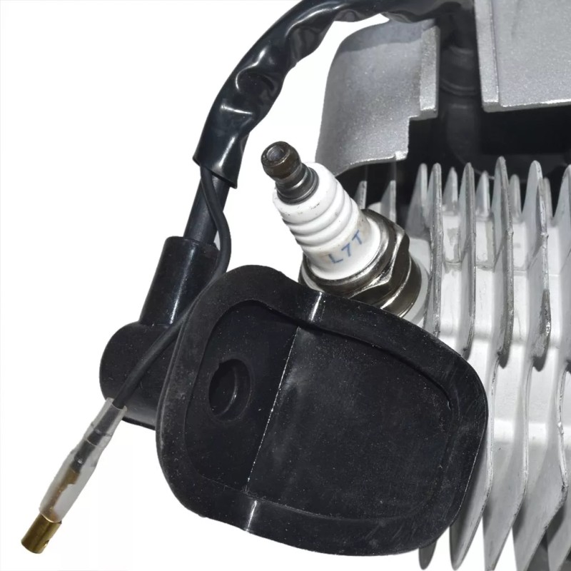 Does Not apply 49cc 2 stroke Pull Engine Motor +