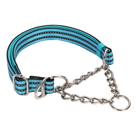 Teal Martingale Collar for Medium Dogs, Reflective Nylon Dog Chain Collar Escape Proof No Pull Dog Collar with Stainless Steel Chain for Small Medium Large Dogs