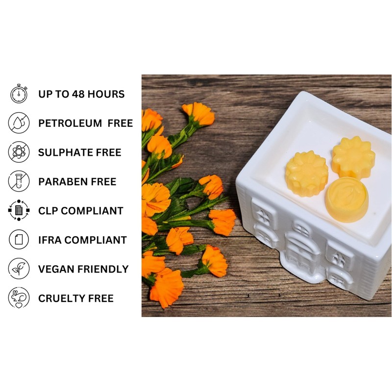 Hocus Pocus Highly Scented Soy Wax Melts