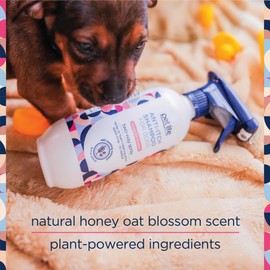 Pet Life Unlimited Dog Shampoo Itchy Skin Relief Foaming Spray, Itch Relief for Dogs - Plant-Based Honey Oat Blossom Scented Dog Itching Skin Relief Spray Shampoo - Made in USA - 16 Ounce (Pack of 1)