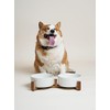 LE TAUCI LE TAUCI Dog Bowl Set with Acacia Wood