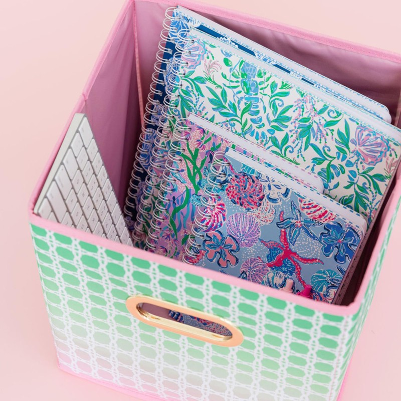 Lilly Pulitzer Small Collapsible Bin for Storage Cube Organizer, 11