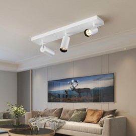 ziidoo Spotlight Indoor Ceiling LED Lights,3 Light 60W Modern Spot Light Fixtures 4000K White Lamp 300°Adjustable Picture Wall Sconce for Living Room Bedroom Hallway GalleryFlush Mount Directional