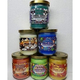 Smoke Odor Exterminator 13 oz Jar Candles Sugar Skull Assorted (6) Includes Sugar Skull, Fall’N Leaves, Pumpkin Spice, Vanilla Glitz, Nag Champa & Hippie Love.
