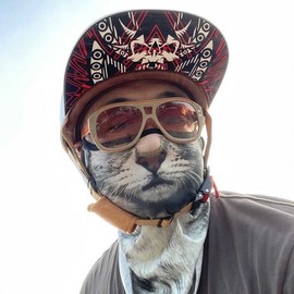 Animal Balaclava Biker Mask Lighting Yellow Cat 2ea