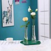 Small Glass Bud Vase Transparent Tapered Small Waist Thick Bottom
