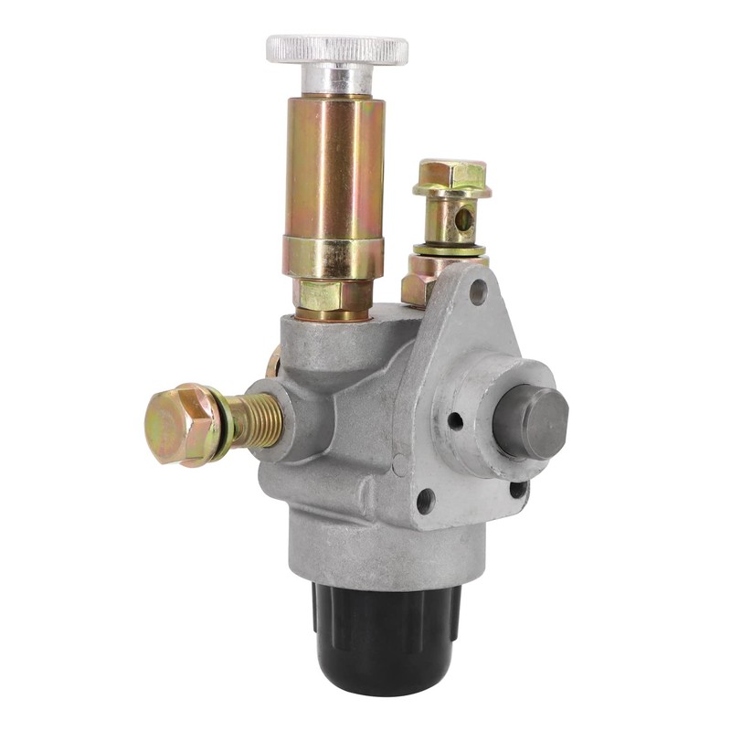 Dokili Kraftstoffpumpe für Multi-car M22 M24 M25 - RS09 GT124