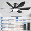 RIENAZA Ceiling Fans with Lights, 42 Inch Low Profile Ceiling