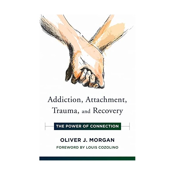 Addiction, Attachment, Trauma and Recovery: The Power of Connection (Norton
