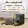 2L Cat Timing Feeder Tuya APP Smart Cat Feeder Pet