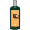 Logona 1003shanois Shampoo with Hazelnut Reflection 250 ml