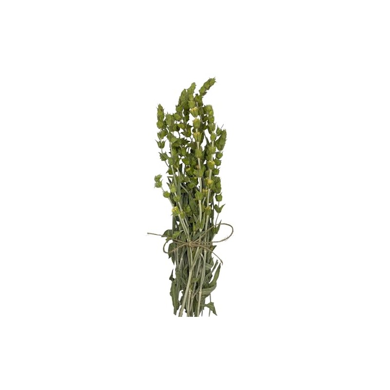 Greek Mountain Tea Mountain Tea Whole Herbal Tea Sideritis Raeseri