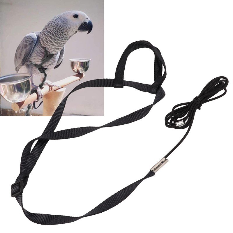 Bird Harness Leash for Parrot, Adjustable Bird Harness Parrot Flying
