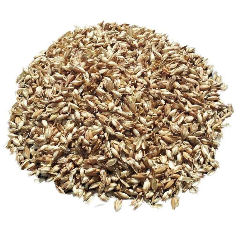 GIRAFFENLAND Organic Spelt Husk Cushion 20 x 40 cm with