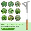 Patio Weed Remover Tool Stainless Steel Hand Weeding Tools Crack