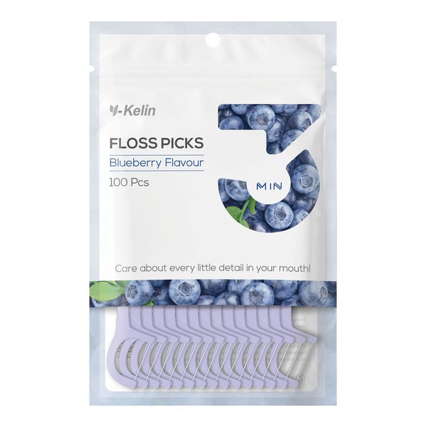 Y-Kelin Dental Floss-100 Pcs Dental Floss Toothpick,Teeth Stick,Tooth Picks,Floss Picks,Teeth Cleaning (Blueberry, 100 pcs)