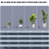GLOWRIUM Grow Lights for Indoor Plants, 30W Vertical Plant Grow