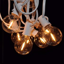 Hometown Evolution, Inc. LED Warm White Outdoor Patio String Lights (10 ft, LED Filament G50 Clear - White Wire - 2" .6 Watt Bulbs)