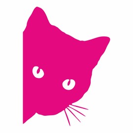 AMA SHOP Pre-spaced PVC Sticker Cat Fuchsia fluo (2 pcs. right/left) that glows in the dark | Car Stickers | Sticker for Helmet, Motorcycle, Camper | Auto tuning