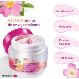 Crema Facial Rosa Mosqueta Vitamina E Manchas Anti Edad Pak