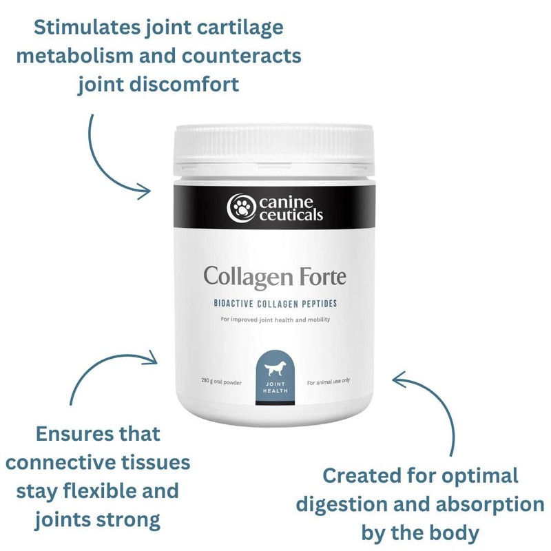 CanineCeuticals - Collagen Forte - Advanced Joint & Cartilage Support