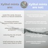 Xylitol Mints for Oral Care - Wild Berries flavor, 100%