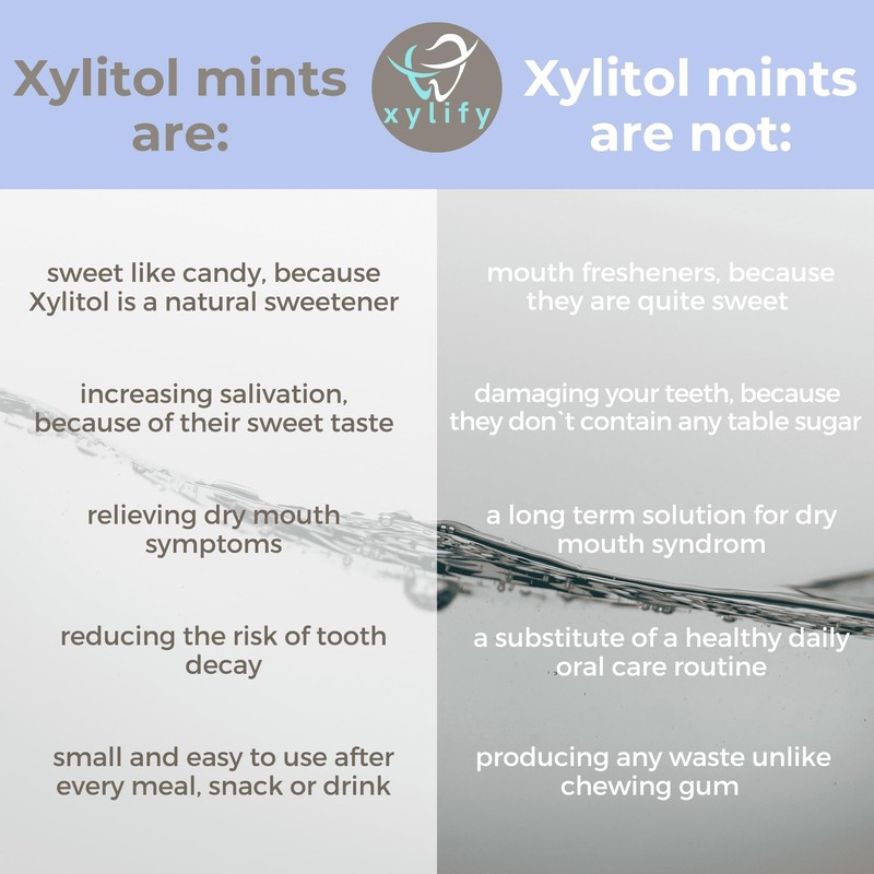 Xylitol Mints for Oral Care - Wild Berries flavor, 100%