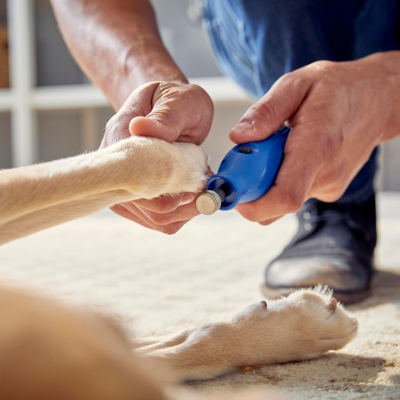 Dremel 416HP Diamond-Coated Rotary Nail Grinder Bit - Ideal for