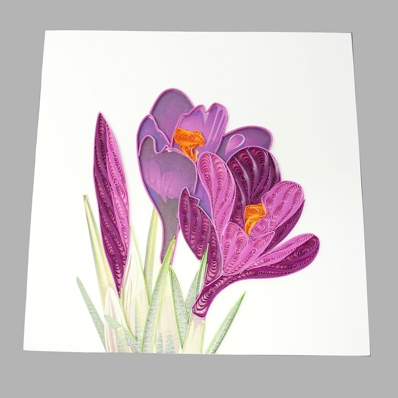 Wow Crocus Flower Bulbs - Quilling Greeting Card for All