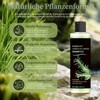 Rosemary Shampoo for Hair Growth, Rosemary Shampoo for Women and