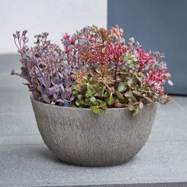Small Plant Bowl Plastic Groove Structure - Round Bowl for Planting - Plastic Bowl Table Decoration - Flower Bowl Winterproof (Diameter 26 cm - Height: 13 cm, Anthracite)