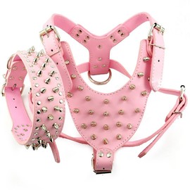 Dogs Kingdom Spiked Studded Leather Dog Collar Pet Harness 2pcs Set Walking Pitbull Boxer