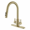 PAKING Kitchen Faucet, Kitchen Sink Faucet, 2 Handles Sink Faucet,