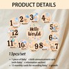 Baby Monthly Milestone Cards - 13 Double-Sided Wooden Milestone Signs