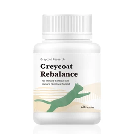 Meow Island Cat Nutrient Inflammation Rebalance Stomatitis Pancreatitis Chin Acne Kidney Failure Management 2 Months 60 Capsules, Meow Island Cat Nutrient Inflammation Rebalance Stomatitis Pancreatitis Chind, 1 ea, Immune Support, 60 Tablets / 야옹섬 고양이 영양제 염증 리밸런스 구내염 췌장염 턱드름 신부전 관리 2개월 60캡슐, 야옹섬 고양이 영양제 염증 리밸런스 구내염 췌장염 턱드, 1개, 면역 지원, 60정