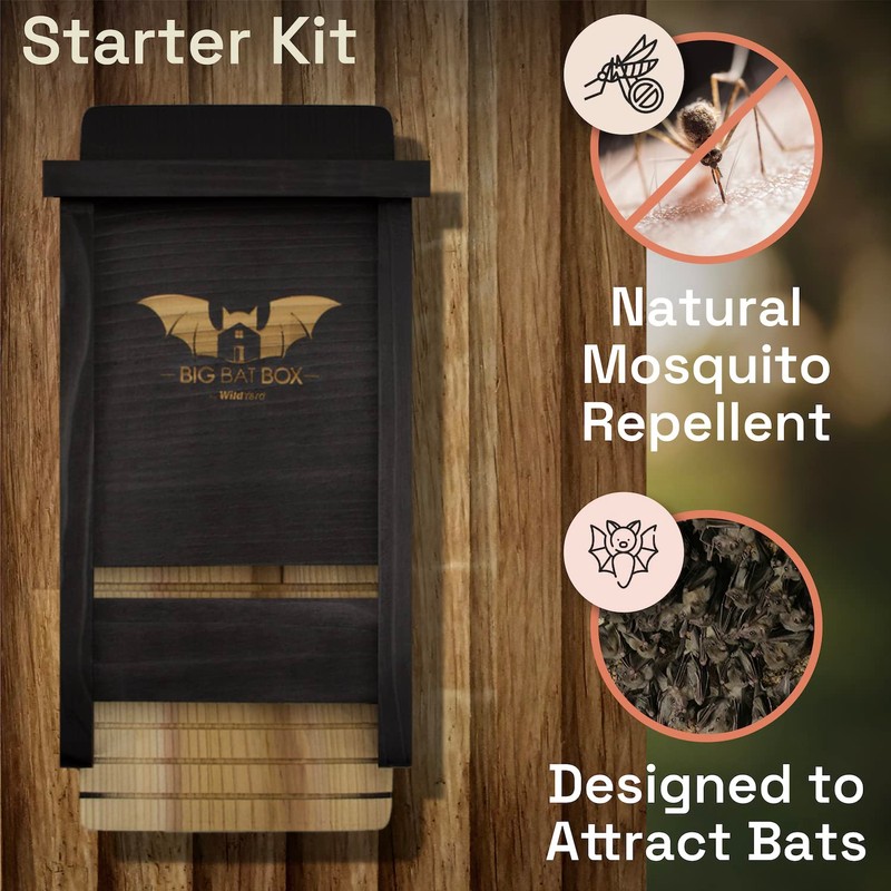 The Complete Bat House for Outdoors - Clean Your Backyard