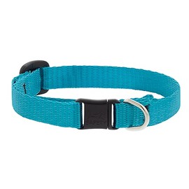 Lupine Breakaway Cat Collar 1/2" Wide Aqua adjusts 8-12"