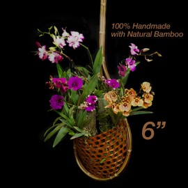 PANWA Handmade 100% Thai Bamboo 6 Inch Signature Super Sanctuary SIAM Orchid Hanging Basket with Nursery Grade Coconut Shell Staves Coir Pith Sponge & Husk Mulch